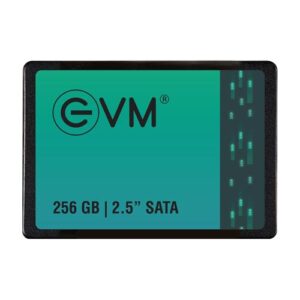 SATA Internal SSD EVM 256 gb 2.5 National Warranty 5 Years