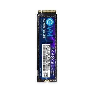 SSD Internal EVM NVMe 128 GB National Warranty 5 Years